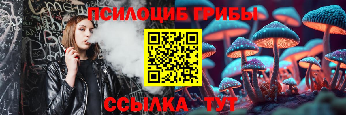 Псилоцибиновые грибы Magic Shrooms  Вход с VPN  Галлюциногенные грибы мицелий  дарнет шоп  Заречный 